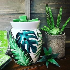 Scentsy rainforest warmer